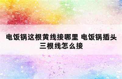 电饭锅这根黄线接哪里 电饭锅插头三根线怎么接